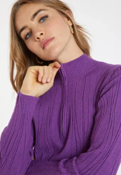 Montagut Pulls-Pull zippé en laine mélangée - Cacilda 17-Violet
