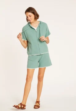 Montagut Pulls-Sweat en coton brossé - Mackenzie 94-Vert amande