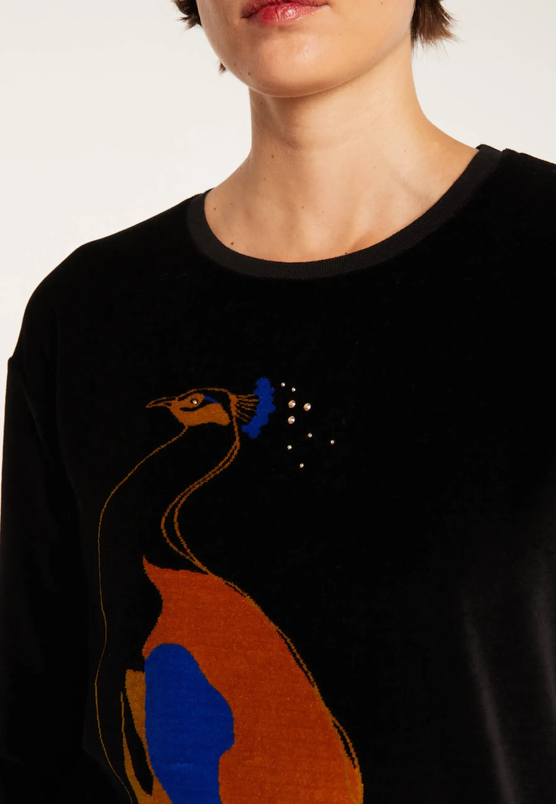 Montagut Pulls-Sweat en velours avec paon - Pavel 01-Noir
